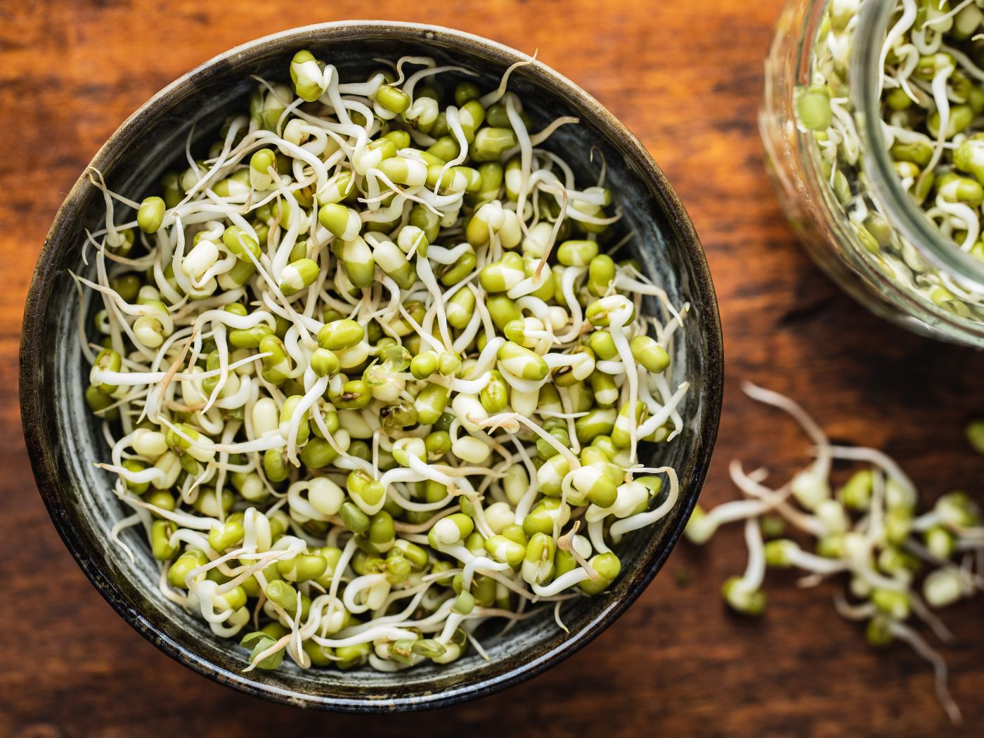 Easy Sprouts Recipes For a Healthy Breakfast