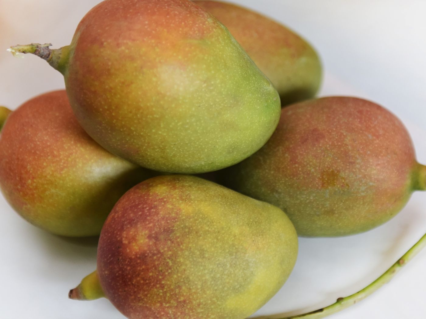 Types Of Mangoes In India You Should Know About!