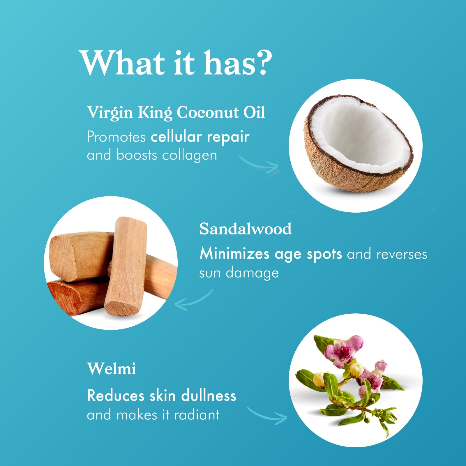 natural ingredients of coco soul body lotion